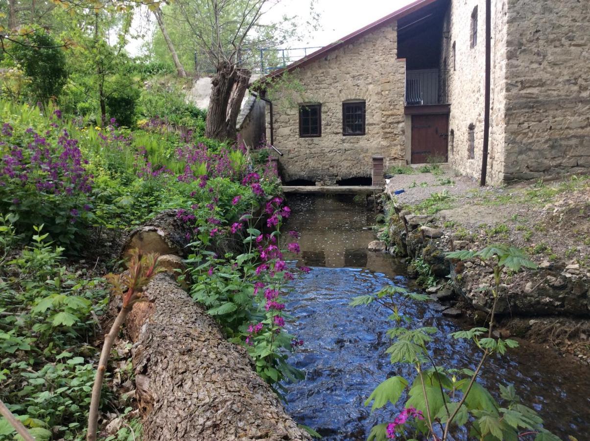 Wisniowy Mlyn Villa Wisniowa k Staszowa Buitenkant foto