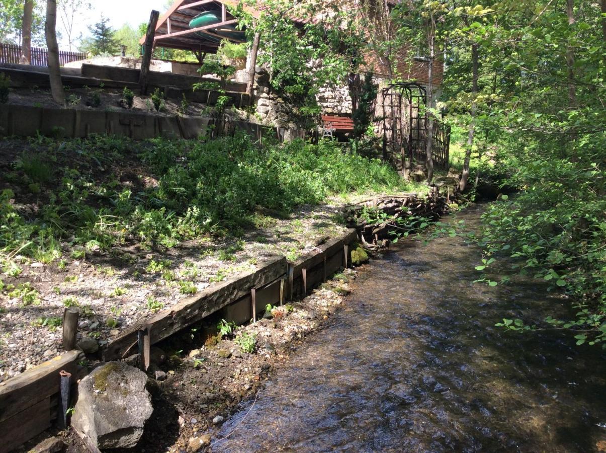 Wisniowy Mlyn Villa Wisniowa k Staszowa Buitenkant foto