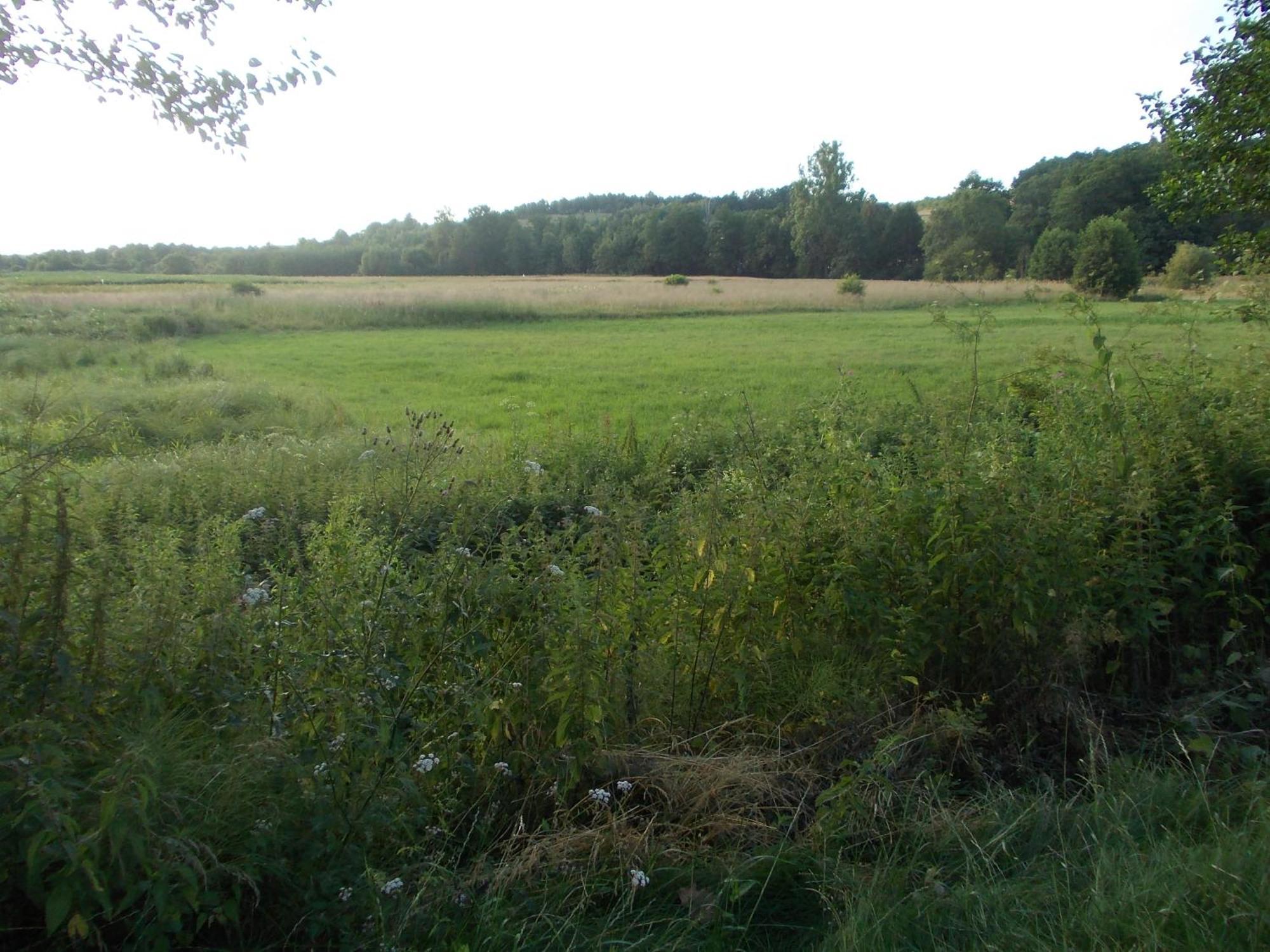 Wisniowy Mlyn Villa Wisniowa k Staszowa Buitenkant foto