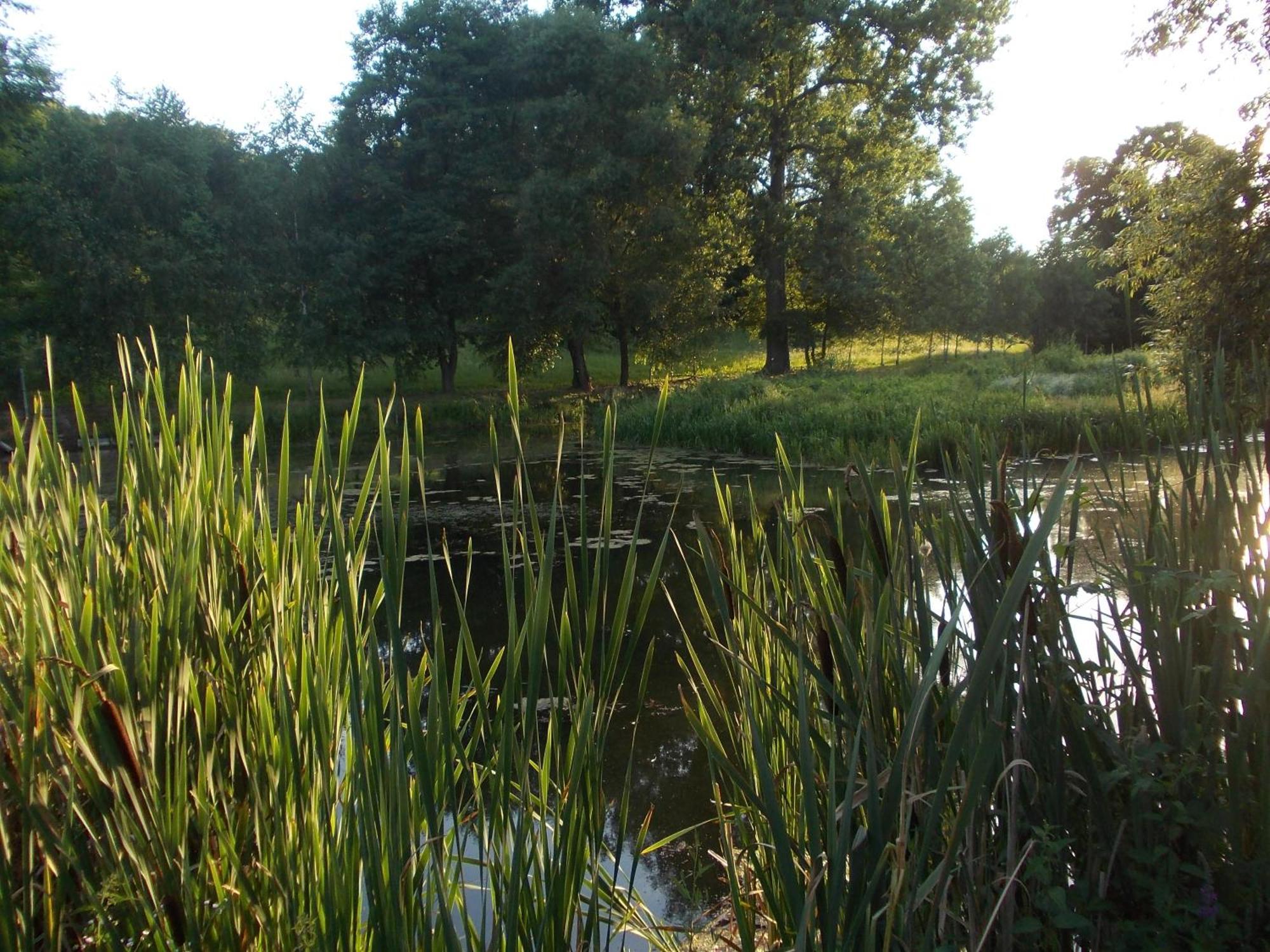 Wisniowy Mlyn Villa Wisniowa k Staszowa Buitenkant foto