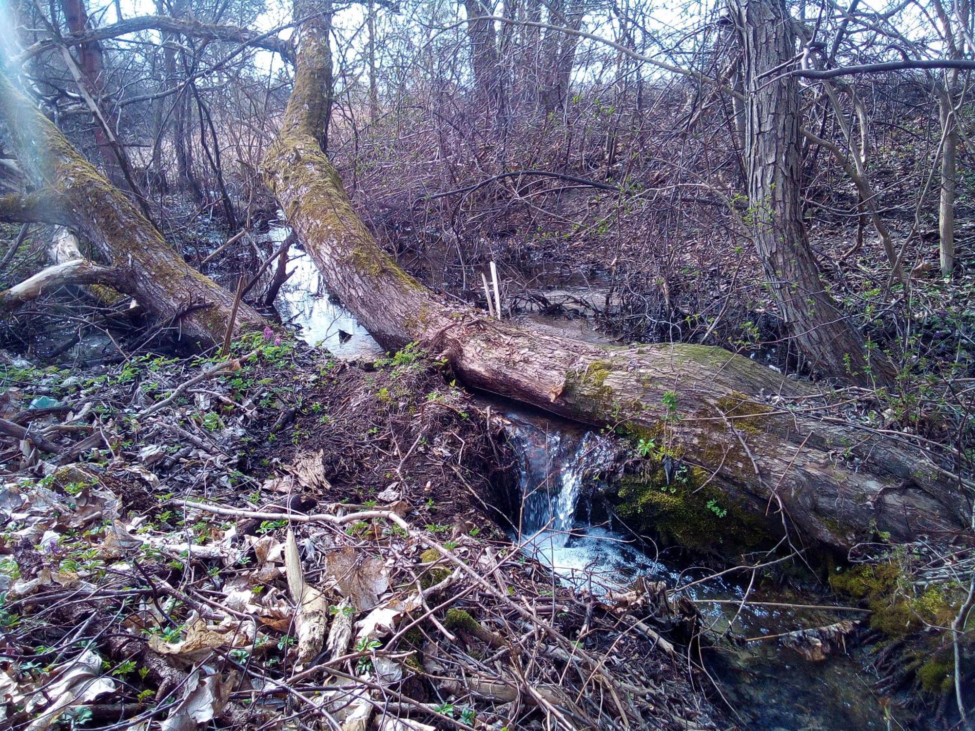 Wisniowy Mlyn Villa Wisniowa k Staszowa Buitenkant foto